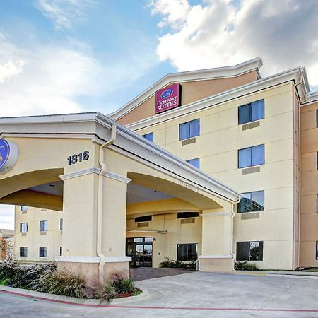 Copperas Cove Comfort Suites מראה חיצוני תמונה